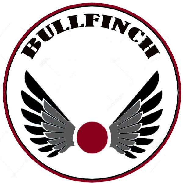 Аватар BullFinch
